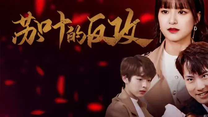 《苏叶的反攻》：职场菜鸟的逆袭之路，爆笑又解压！看她如何玩转职场宫斗，收获意外爱情？