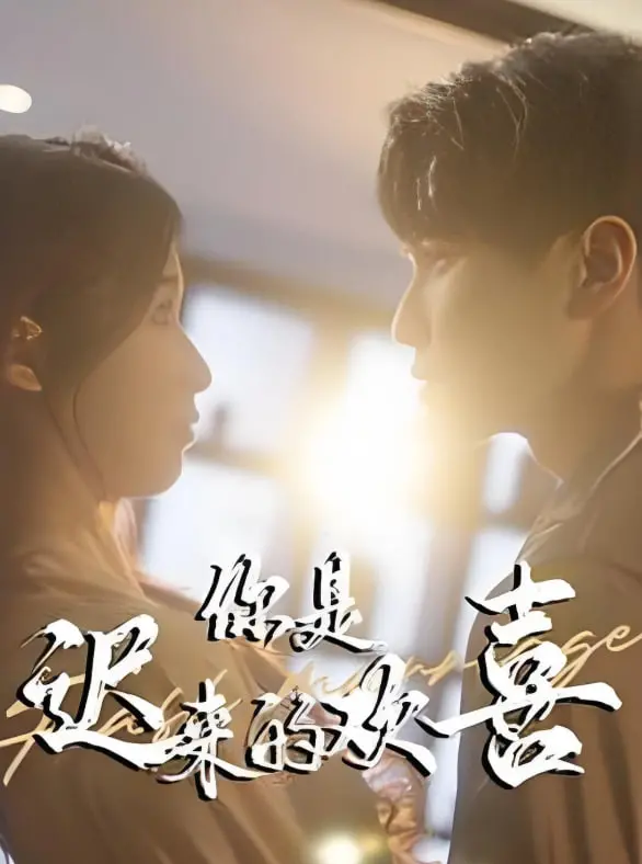 《你是迟来的欢喜》：一场跨越时间的救赎与爱恋，治愈彼此的灵魂