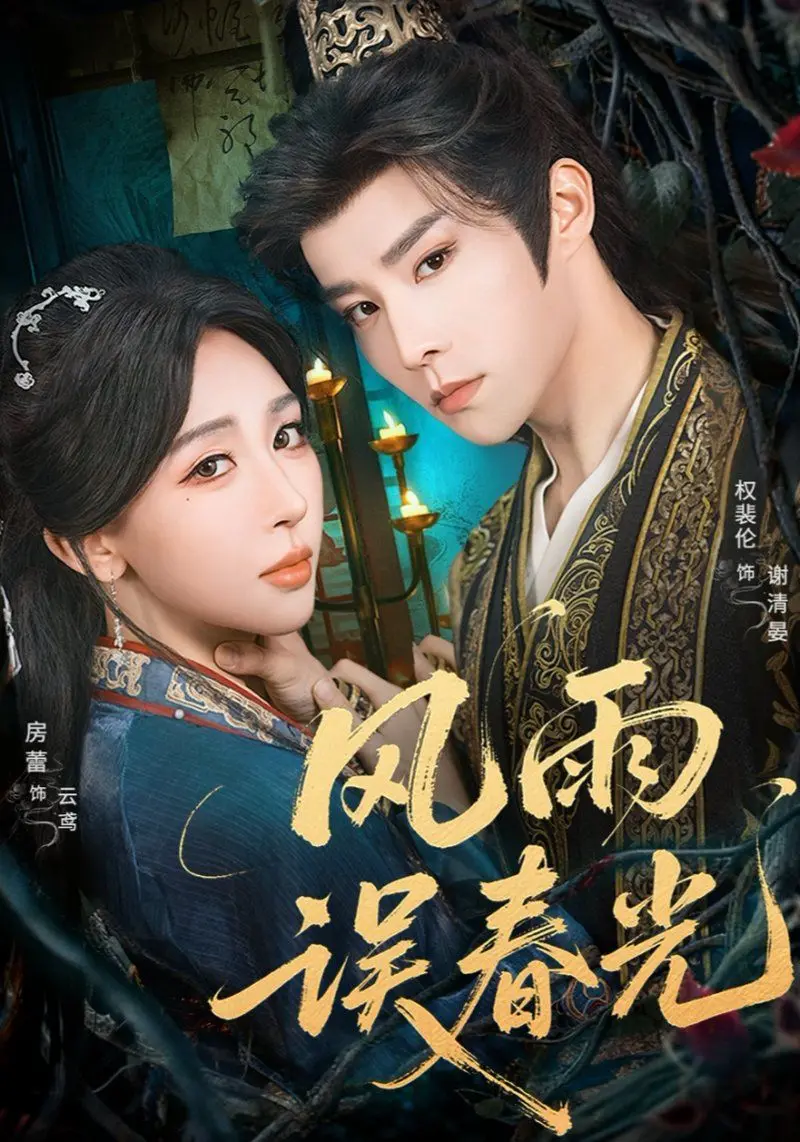 《风雨误春光（七年寒鸢）》：虐恋七载，命运纠缠，一段被误读的深情史诗